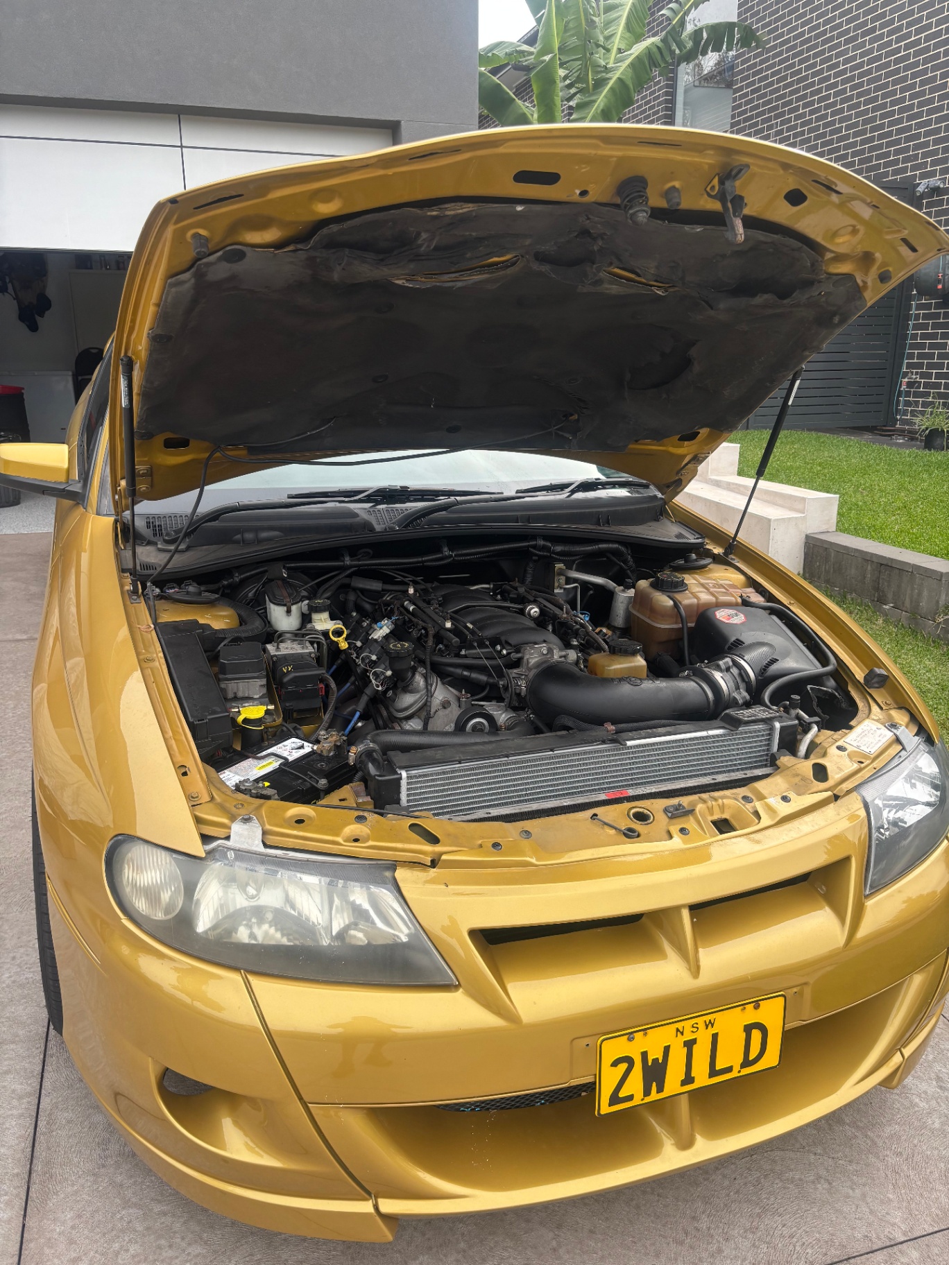 Engine bay diagnosis & performance work
